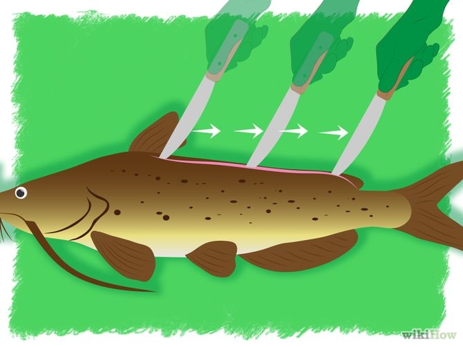 Comment faire partir l'odeur de poisson sur votre matériel carpe ?